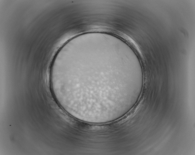 X0000114431419200911131322
