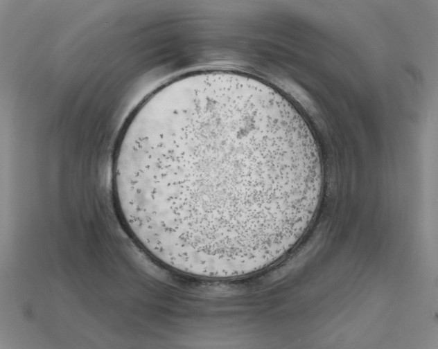 X0000114431420200911131322