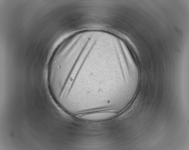 X0000114431424200911131322