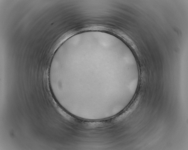 X0000114431425200911131322