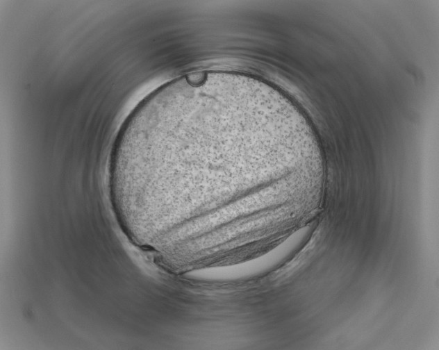 X0000114431426200911131322