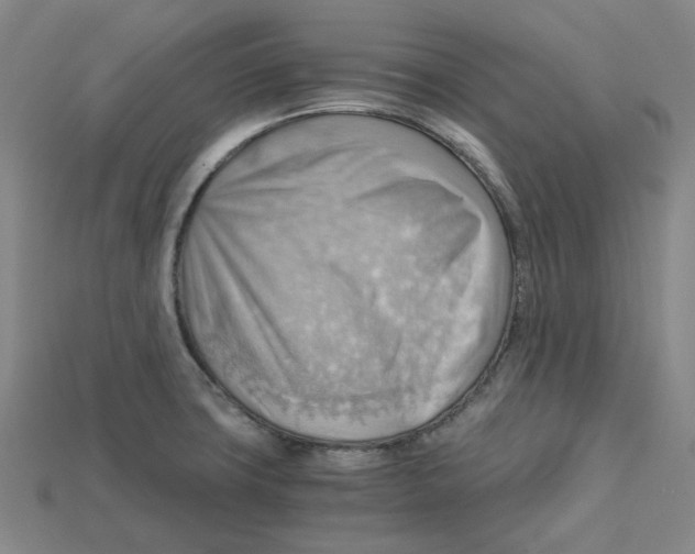 X0000114431427200911131322