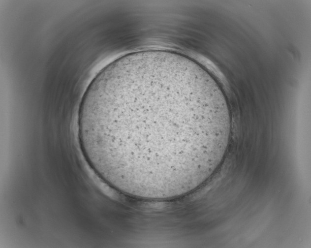 X0000114431431200911131322