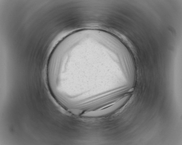 X0000114431432200911131322