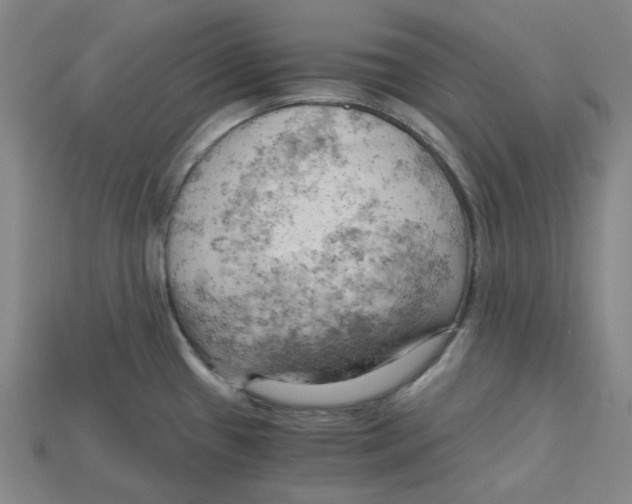 X0000114431433200911131322