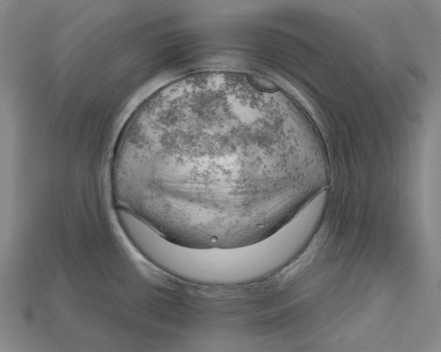 X0000114431434200911131322