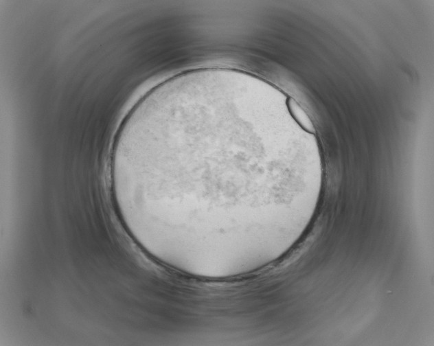 X0000114431436200911131322