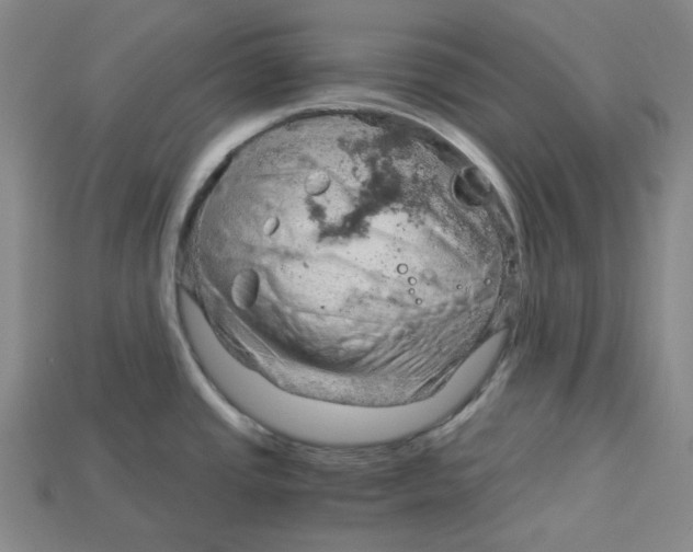 X0000114431437200911131322