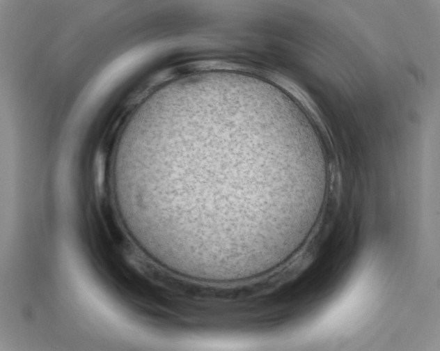 X0000114431439200911131322