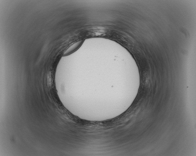 X0000114431442200911131322