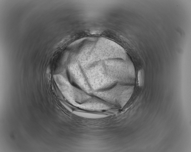 X0000114431443200911131322