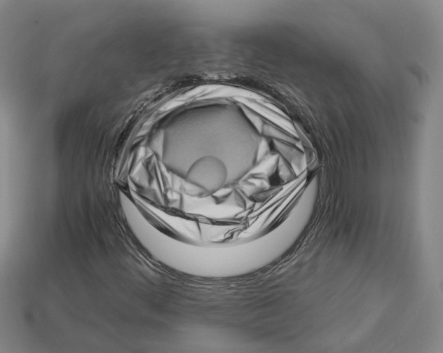 X0000114431444200911131322