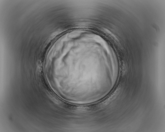 X0000114431449200911131322