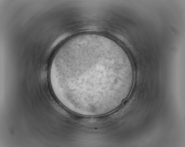 X0000114431450200911131322