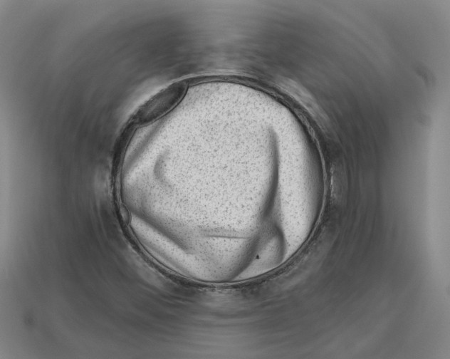 X0000114431452200911131322