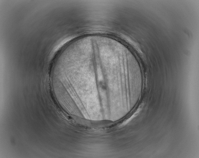 X0000114431453200911131321