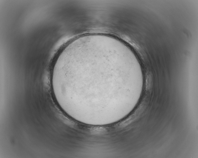 X0000114431454200911131321