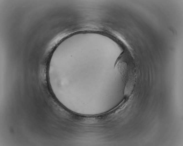 X0000114431455200911131321