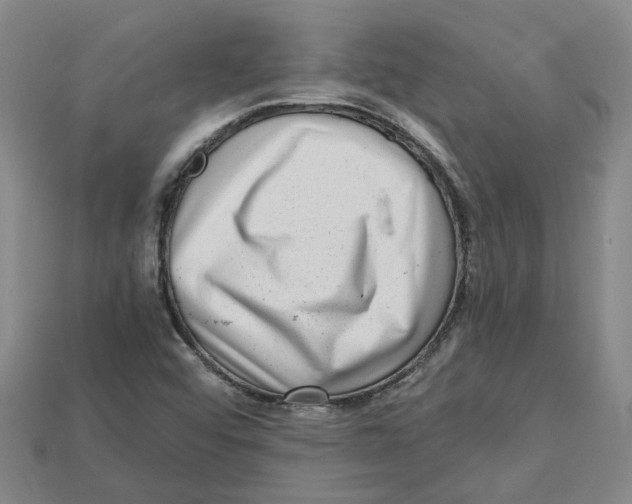X0000114431456200911131321