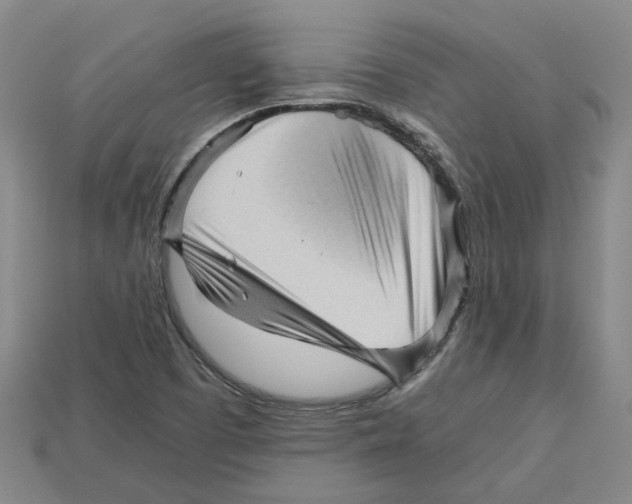 X0000114431457200911131321