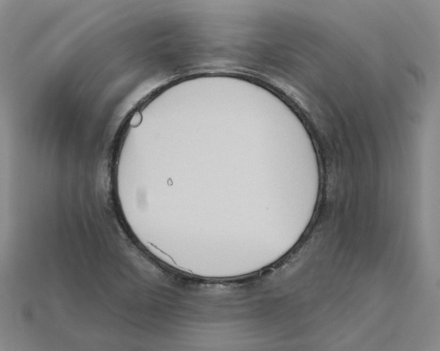 X0000114431458200911131321