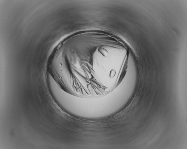 X0000114431460200911131321