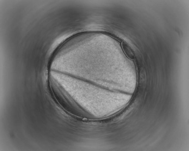 X0000114431461200911131321