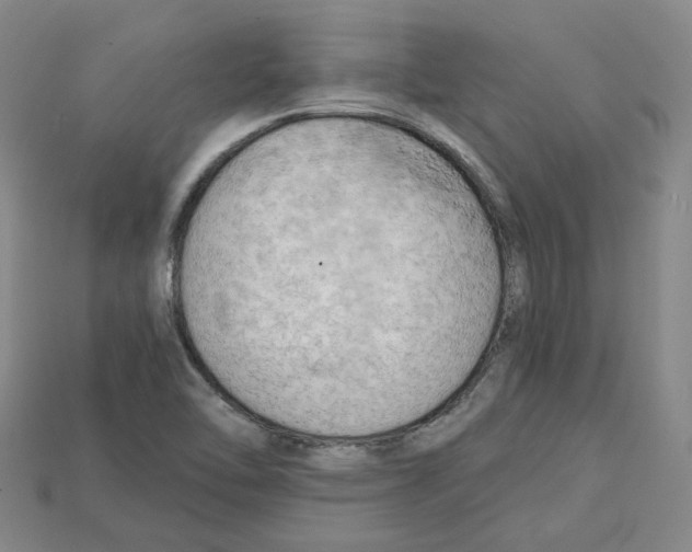 X0000114431462200911131321