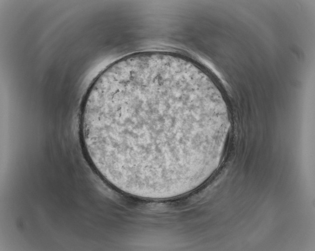 X0000114431463200911131321