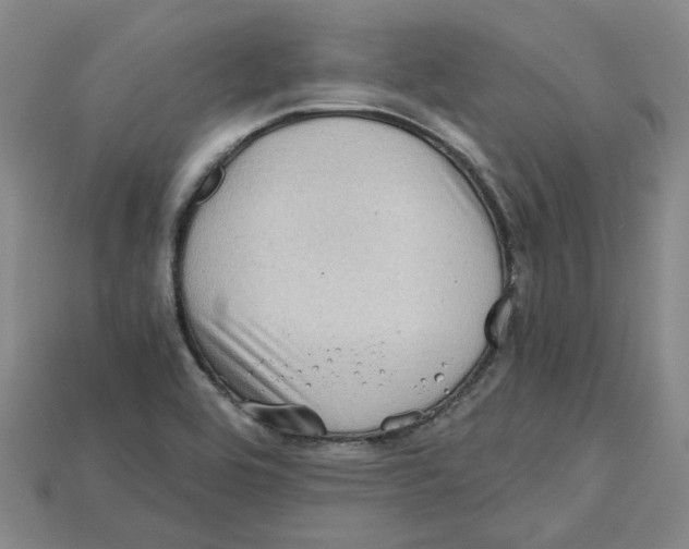 X0000114431464200911131321