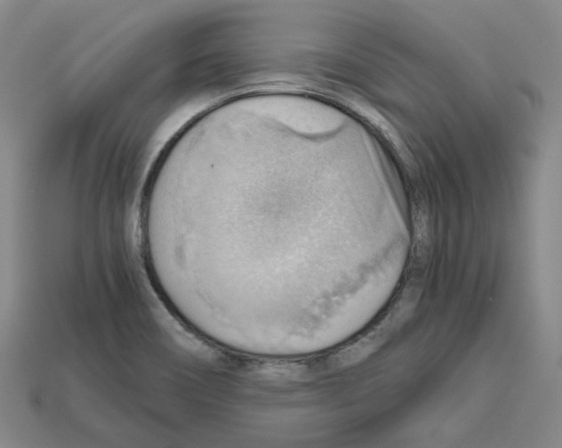 X0000114431466200911131321