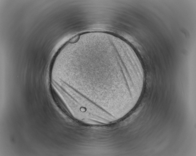 X0000114431469200911131321
