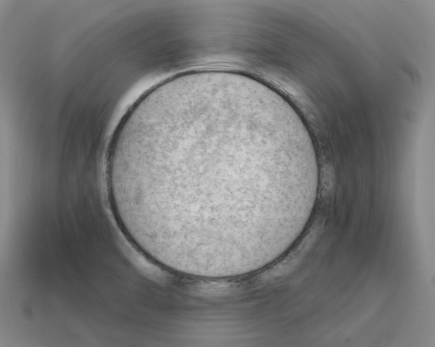 X0000114431470200911131321