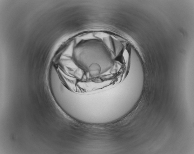 X0000114431472200911131321
