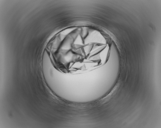 X0000114431473200911131321
