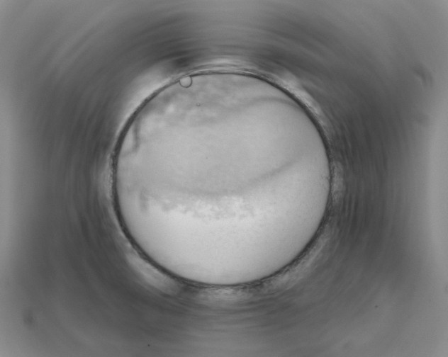 X0000114431474200911131321