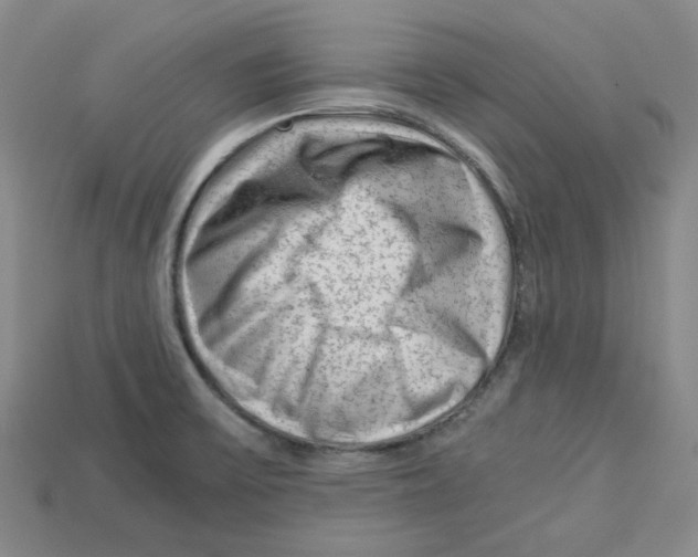 X0000114431475200911131321