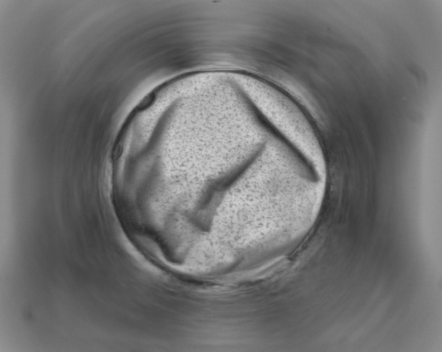 X0000114431476200911131321