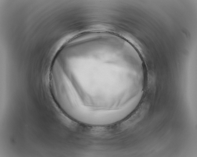 X0000114431477200911131321