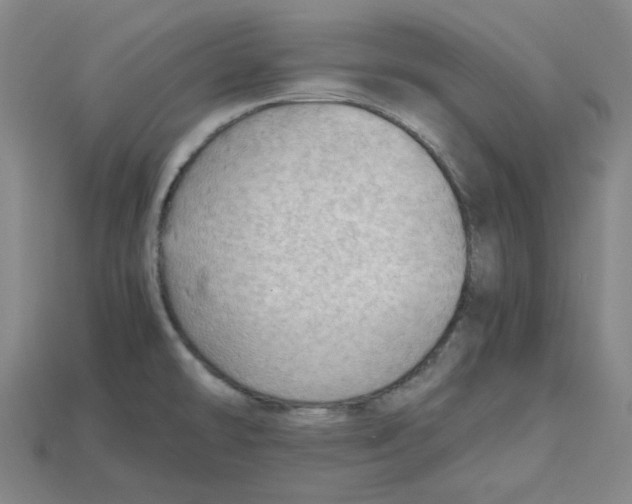 X0000114431478200911131321