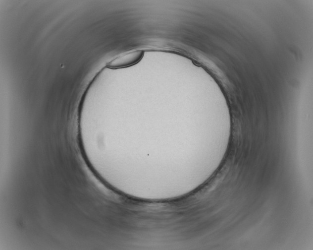 X0000114431479200911131321