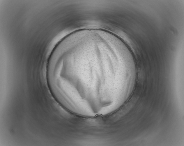 X0000114431480200911131321