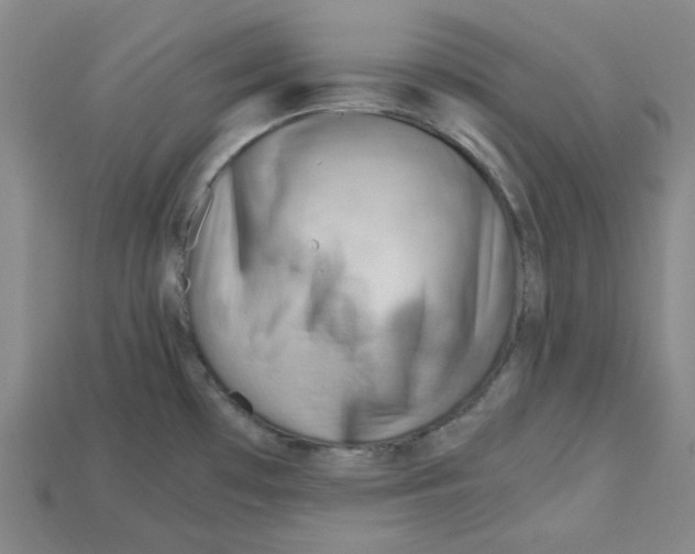 X0000114431481200911131321