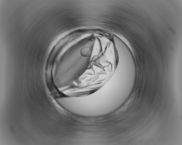 X0000114431485200911131321
