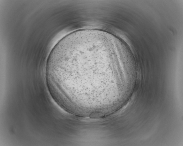 X0000114431487200911131321