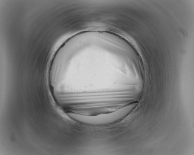 X0000114431488200911131321
