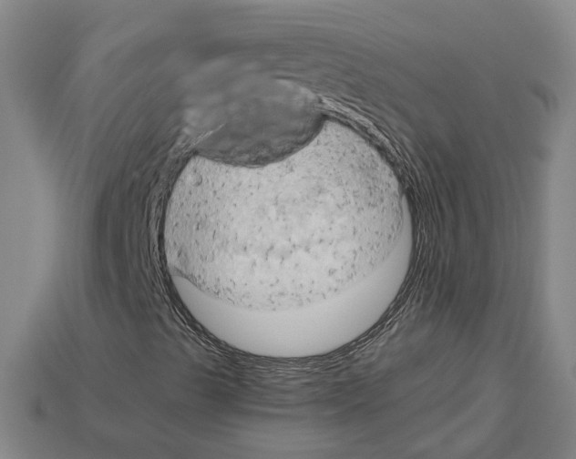 X0000114431489200911131320