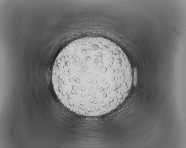 X0000114431491200911131320