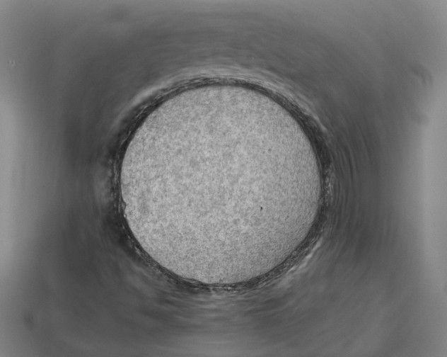 X0000114431494200911131320