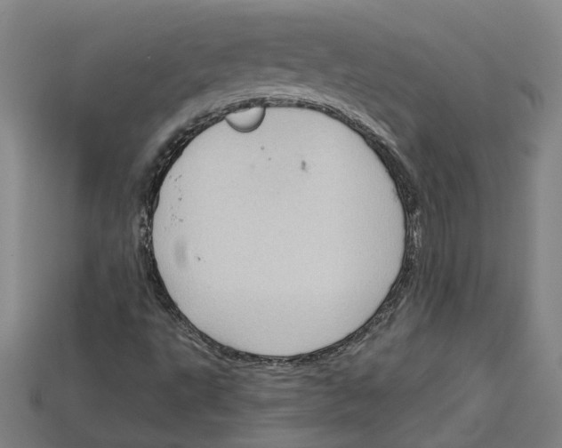 X0000114431495200911131320